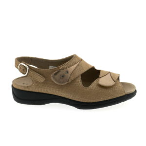 Solidus 73104 Lia H