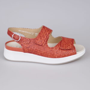 Solidus 75034 Hannah H