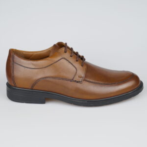 Solidus 81179 Henk H